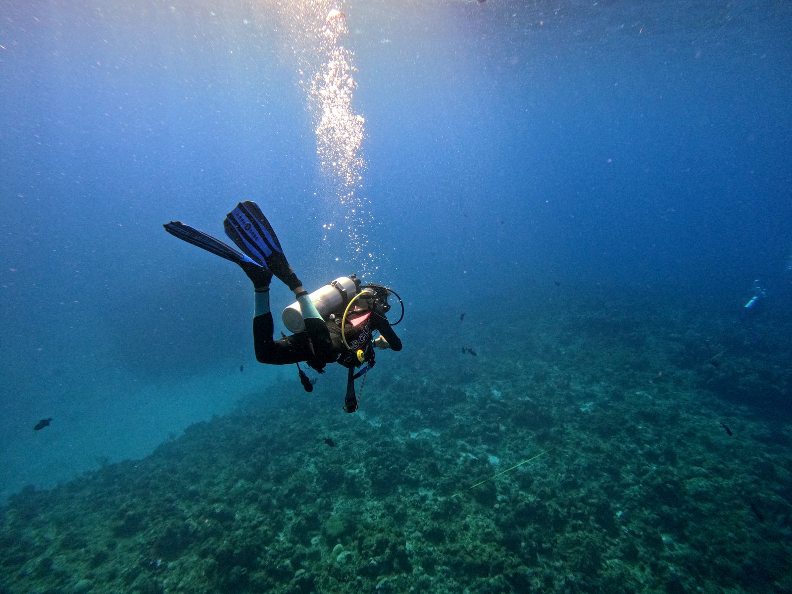 Zonas de buceo en Cuba